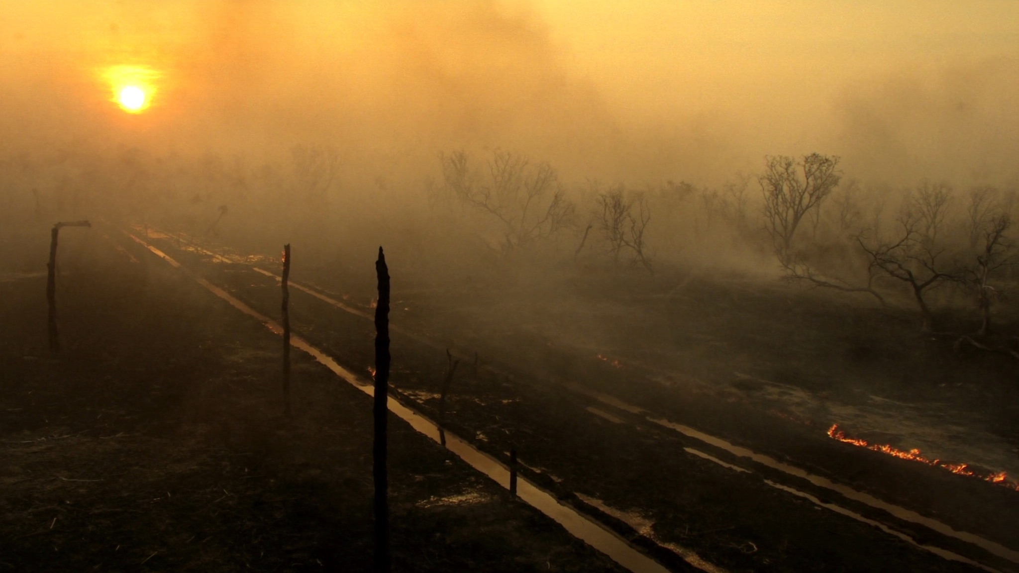 Dusk over drained Kalimantan peatland: a drainage canal cutting through burnt peat swamp, dead trees and a line of ground fire under heavy smoke haze.